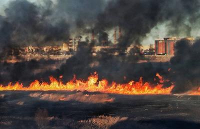 DELTA VĂCĂREȘTI // VIDEO+FOTO INCENDIU masiv: 20 hectare afectate! Imagini teribile de la fața locului