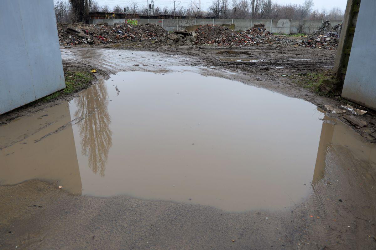 Stadionul din Brăila, printre ruine și vegetație: imagini dezarmante cu arena de 20.000 de locuri din România - februarie 2026