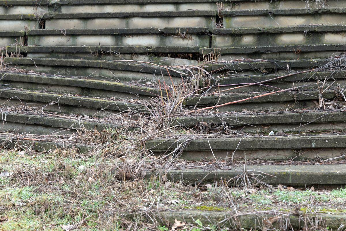Stadionul din Brăila, printre ruine și vegetație: imagini dezarmante cu arena de 20.000 de locuri din România - februarie 2026