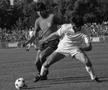 Steaua 1986