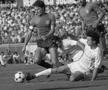 Gigi Becali nu s-a abținut de 7 mai: „FCSB a câștigat Cupa Campionilor Europeni, avem deja răspunsul de la FIFA și UEFA!”