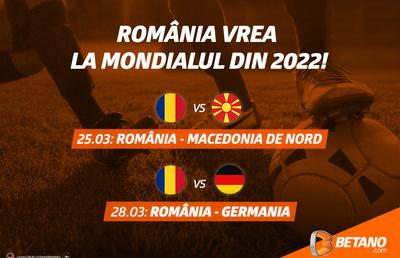 România vrea la Mondialul din 2022! Vezi cotele pentru calificarea trupei lui Rădoi