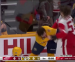 Filip Forsberg (Nashville Predators) și Moritz Seider (Detroit Red Wings) FOTO: captură video