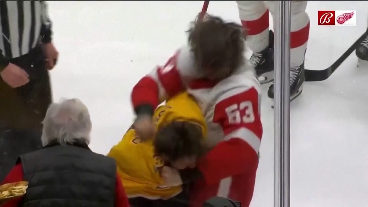 Bătaie pe gheață: Filip Forsberg (Nashville Predators) și Moritz Seider (Detroit Red Wings)