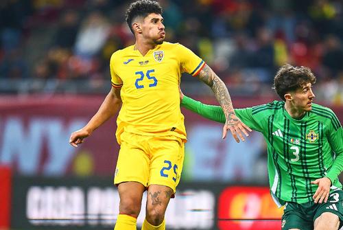 Florinel Coman n-a rupt gura târgului nici cu Irlanda de Nord / FOTO: Raed Krishan (GSP)