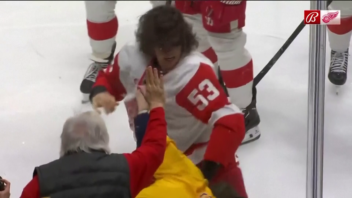 Bătaie pe gheață: Filip Forsberg (Nashville Predators) și Moritz Seider (Detroit Red Wings)