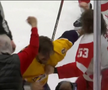 Filip Forsberg (Nashville Predators) și Moritz Seider (Detroit Red Wings) FOTO: captură video