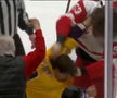 Filip Forsberg (Nashville Predators) și Moritz Seider (Detroit Red Wings) FOTO: captură video