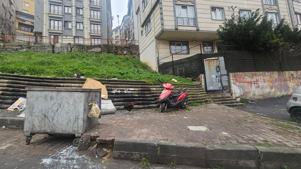 Kuștepe