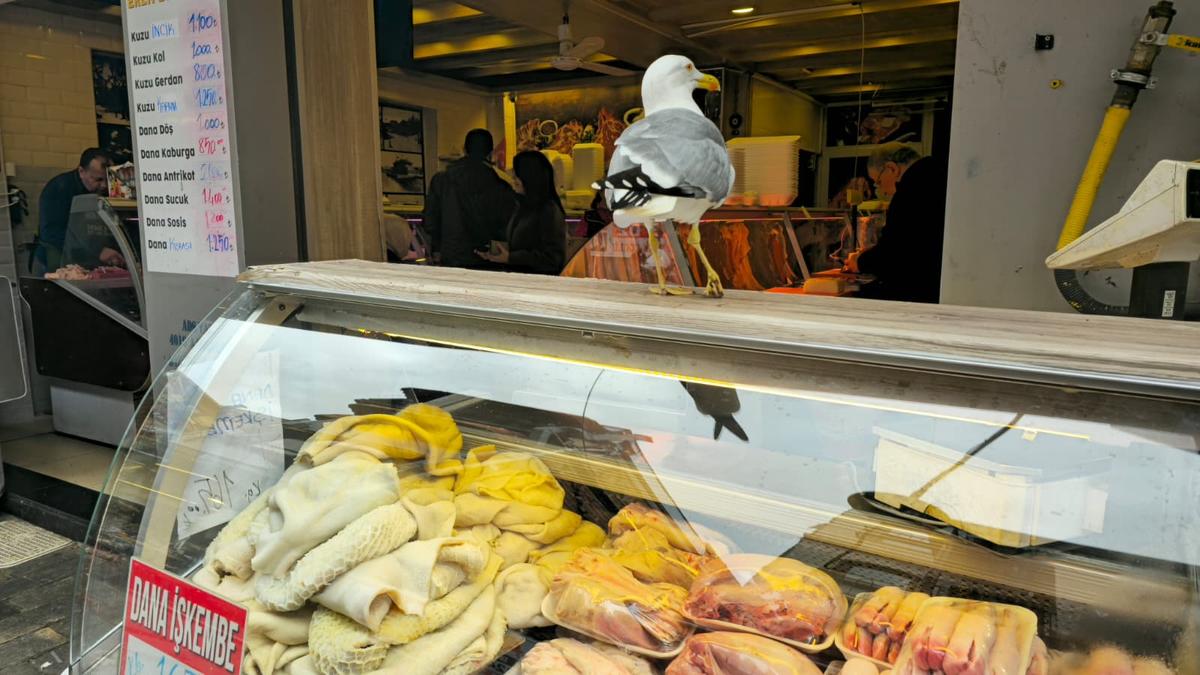 GSP a comparat prețurile din Istanbul cu cele din România » Unele diferențe sunt șocante