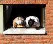 foto: Guliver/gettyimages
