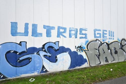 Ultrașii lui Schalke, foto: Imago