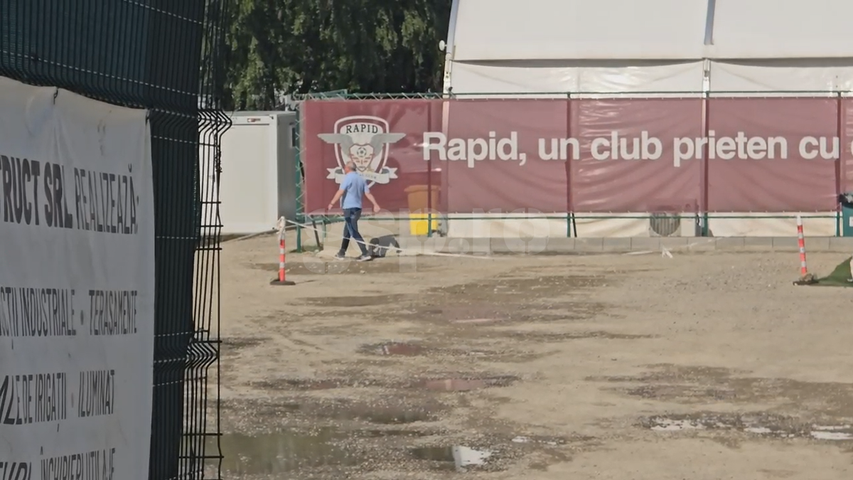 Câți bani ar fi trebuit să-i plătească Șumudică lui Șucu, dacă ieșirea din scenă s-ar fi petrecut pe bune