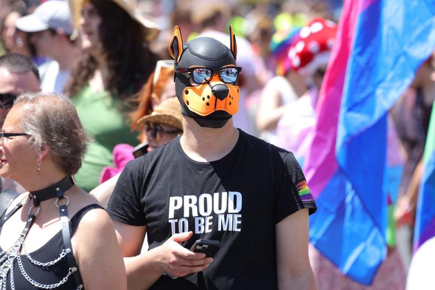 Persoanele care se identifică drept câini, sub numele de therians sau otherkin, într-o paradă LGBT la Viena, foto: GSP