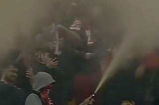 Imagini incredibile în Dinamo - Craiova: ultrașii au pornit extinctoarele în peluză