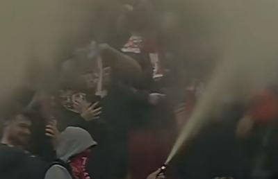 Imagini incredibile în Dinamo - Craiova: ultrașii au pornit extinctoarele în peluză
