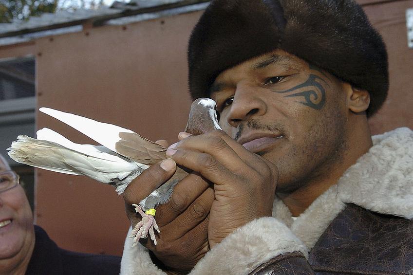Mike Tyson e gata să revină în ring