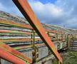 Rugina e la ea acasă pe stadionul din Scornicești 
FOTO: Vlad Nedelea