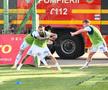CS Mioveni – FC Botoșani // foto: Ionuț Iordache, GSP