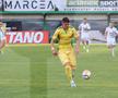 CS Mioveni – FC Botoșani // foto: Ionuț Iordache, GSP