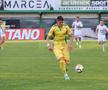 CS Mioveni – FC Botoșani // foto: Ionuț Iordache, GSP