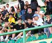 CS Mioveni – FC Botoșani // foto: Ionuț Iordache, GSP