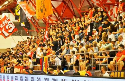 Câți suporteri o vor încuraja pe Dinamo la Hamburg, în Final Four-ul EHF European League » Hoteluri blocate, în ciuda prețurilor exorbitante
