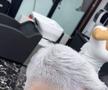 Titularul de la FCSB l-a sfidat pe Gigi Becali » S-a vopsit din nou, la un an de la criticile patronului