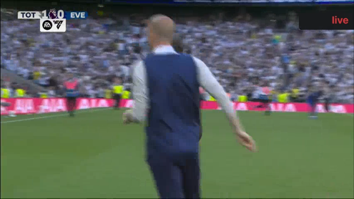 Tottenham s-a salvat de la retrogradare. Imginile bucuriei
