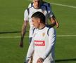 Antrenamentul echipei naționale înaintea meciului cu Slovacia de la Frankfurt. FOTO: Andrei Crăițoiu (GSP)