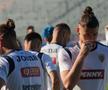 Antrenamentul echipei naționale înaintea meciului cu Slovacia de la Frankfurt. FOTO: Andrei Crăițoiu (GSP)