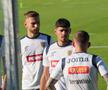 Antrenamentul echipei naționale înaintea meciului cu Slovacia de la Frankfurt. FOTO: Andrei Crăițoiu (GSP)