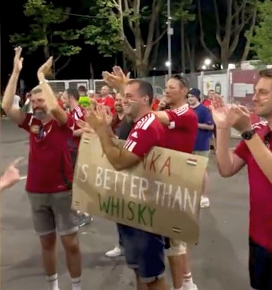 Maghiarii, respect total pentru scoțieni, foto: X Așa beau scoțiencele berea! » 3 clipuri virale din ultimele ore de la Euro 2024. Au strâns zeci de mii de reacții