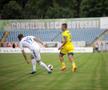 FC Botoșani - Petrolul / foto: Ionuț Tăbultoc