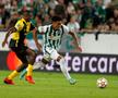 Young Boys, „călăul” CFR-ului, e în grupele Ligii! Ludogoreț, eliminată + final în PSV - Benfica