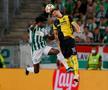 Young Boys, „călăul” CFR-ului, e în grupele Ligii! Ludogoreț, eliminată + final în PSV - Benfica