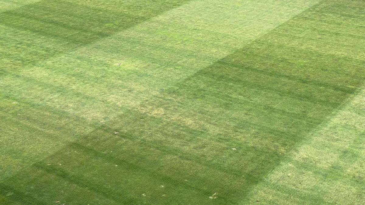 Gras, dar genial » Ce notă a primit Budescu, după prestația de maestru din victoria Farului