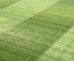 Farul - HJK Helsinki, imagini dinainte de meci
