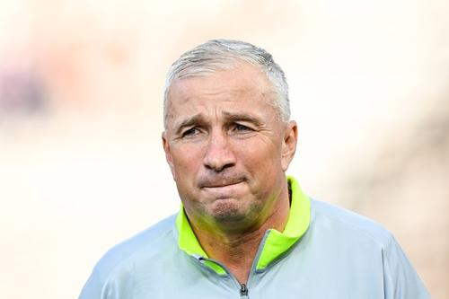 Dan Petrescu // FOTO: Imago