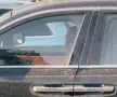 Gigi Becali - accident