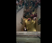 Scene înfiorătoare: bătaie generală în stadion! Suporteri căzuți, sufocați de gazele lacrimogene
