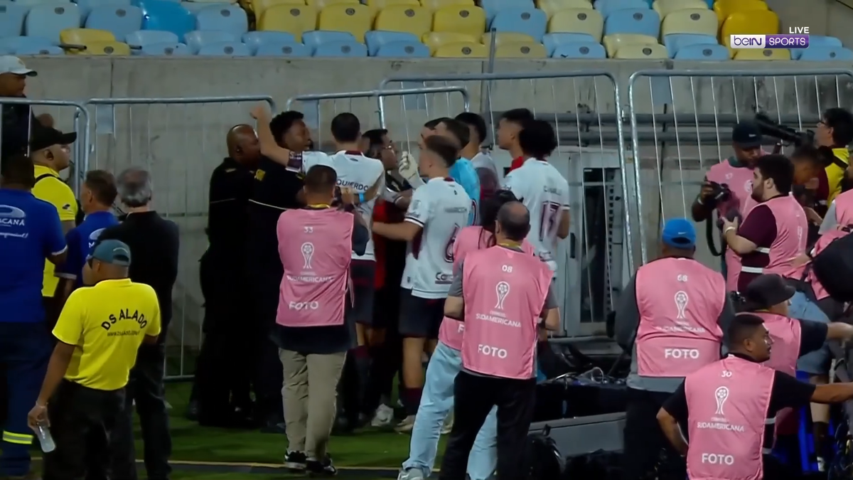 Scene înfiorătoare: bătaie generală în stadion! Suporteri căzuți, sufocați de gazele lacrimogene