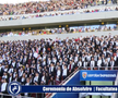 Arena Națională s-a transformat complet la o zi după meciul lui Dinamo!