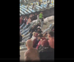 Scene înfiorătoare: bătaie generală în stadion! Suporteri căzuți, sufocați de gazele lacrimogene