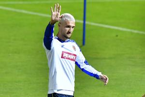 Au crescut speranțele lui Daniel Bîrligea la Frosinone! » Golgheterul noii promovate s-a accidentat la națională
