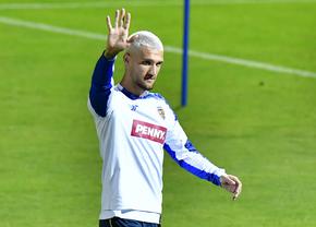 Au crescut speranțele lui Daniel Bîrligea la Frosinone! » Golgheterul noii promovate s-a accidentat la națională
