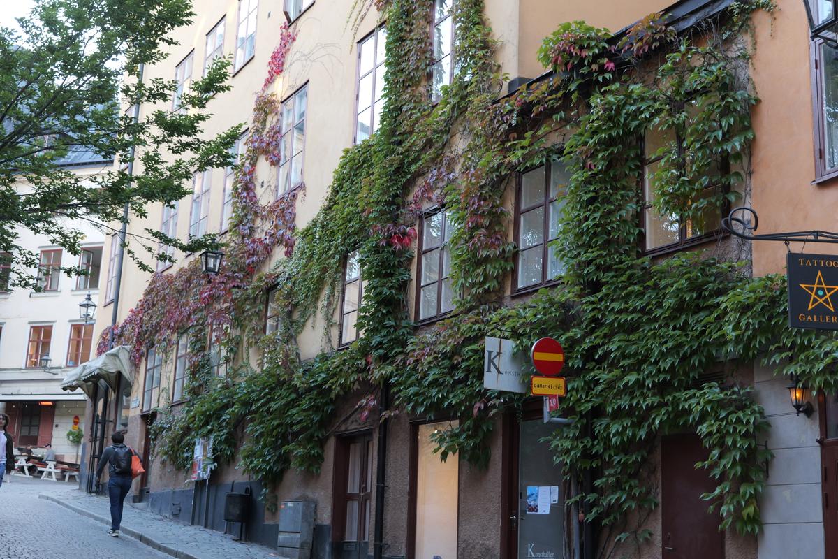 Imagini oraș Stockholm