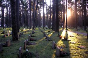 Poveștile ascunse din Stockholm: trenul fantomă, metrou-galerie de artă, animale sălbatice printre blocuri și cimitir UNESCO