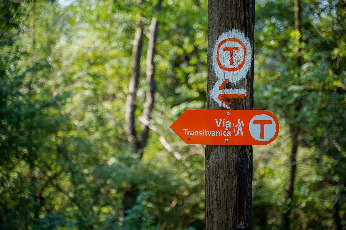 Via Transilvanica - lansare google