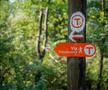 „Acest traseu mi-a schimbat percepția despre România” » Traseul Via Transilvanica poate fi explorat virtual pe Google Street View